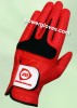 Golf Glove