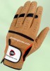 Golf Glove